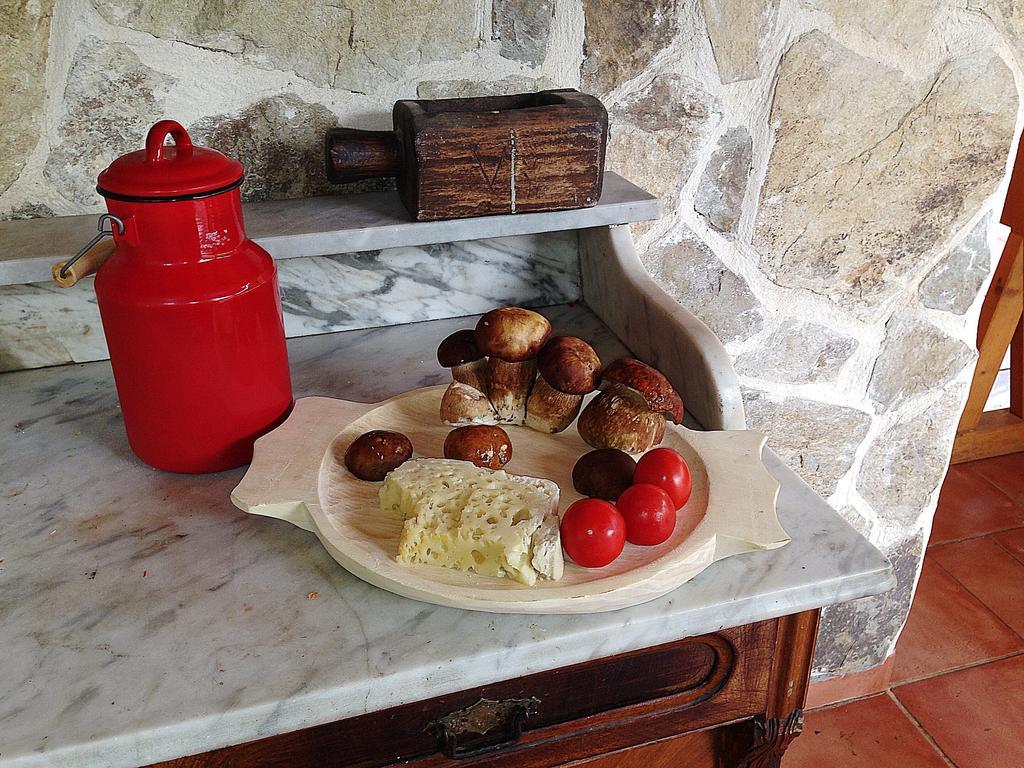Gasthaus Maria Borlova Ngoại thất bức ảnh