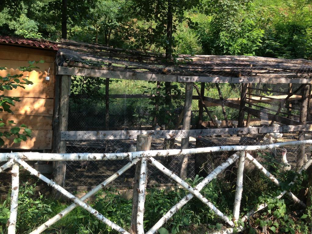 Gasthaus Maria Borlova Ngoại thất bức ảnh