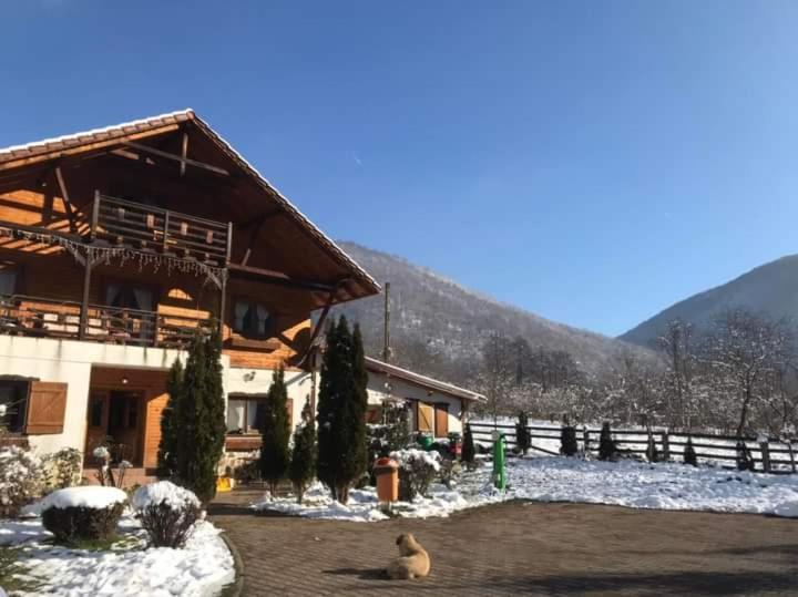 Gasthaus Maria Borlova Ngoại thất bức ảnh