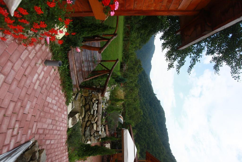 Gasthaus Maria Borlova Ngoại thất bức ảnh