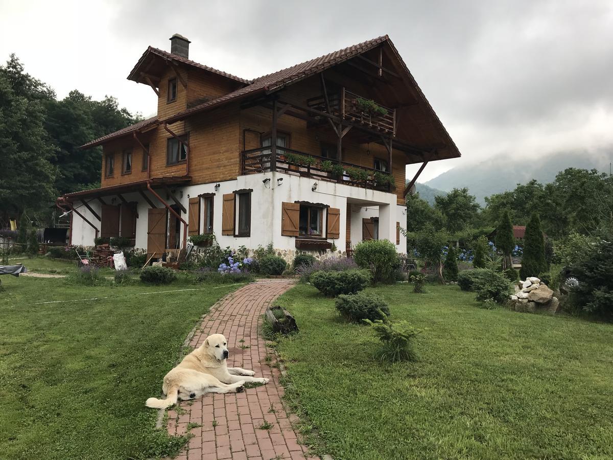 Gasthaus Maria Borlova Ngoại thất bức ảnh